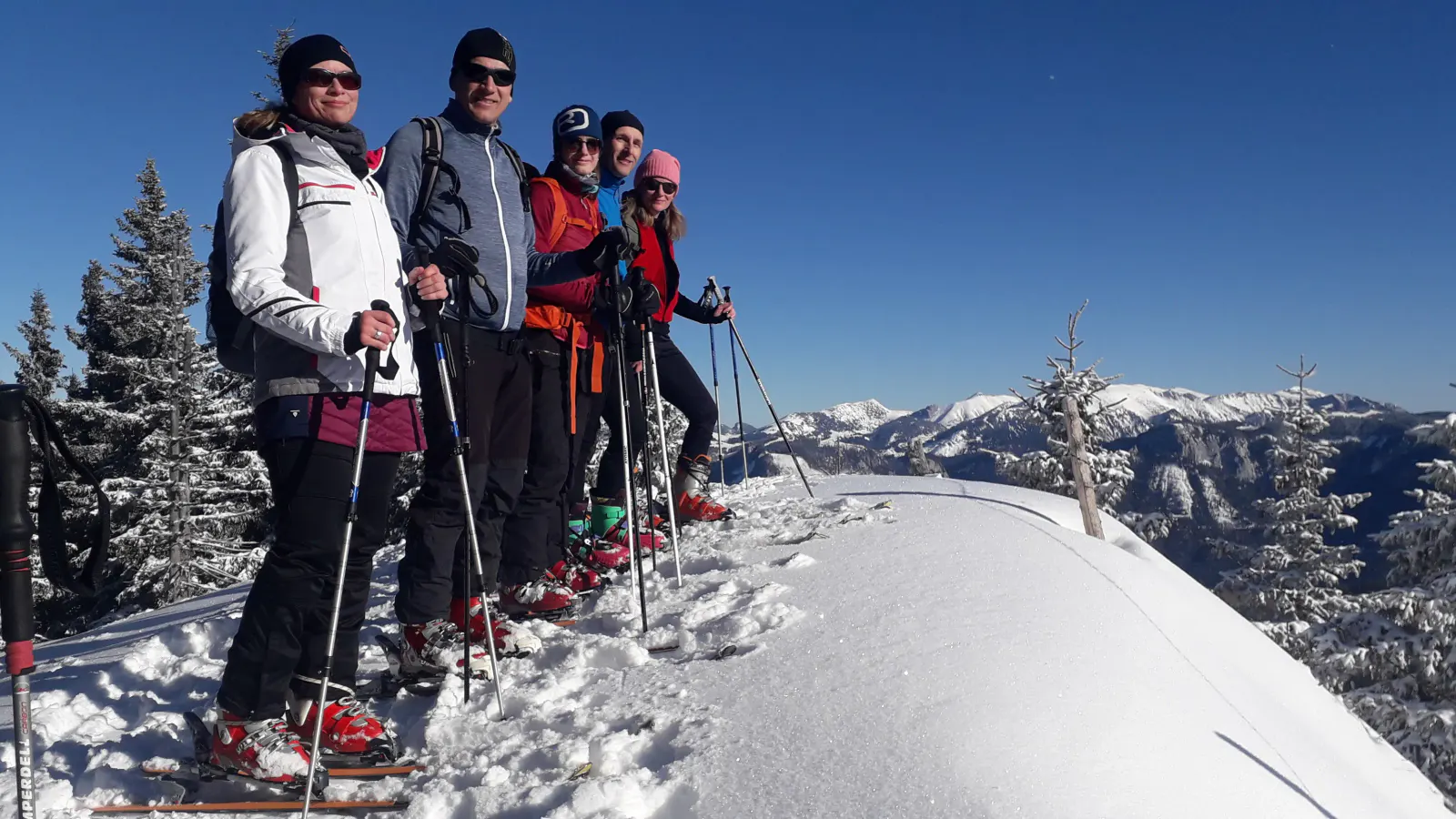 Mehrere Personen, die beim Schneeschuhwandern die Aussicht genießen.