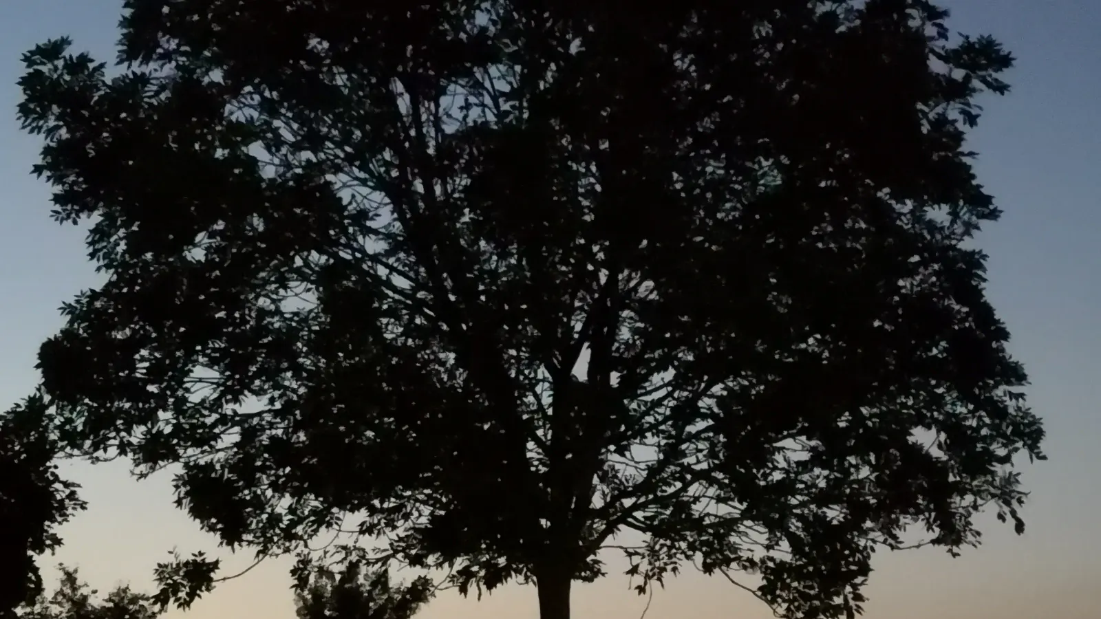 Sonnenuntergang