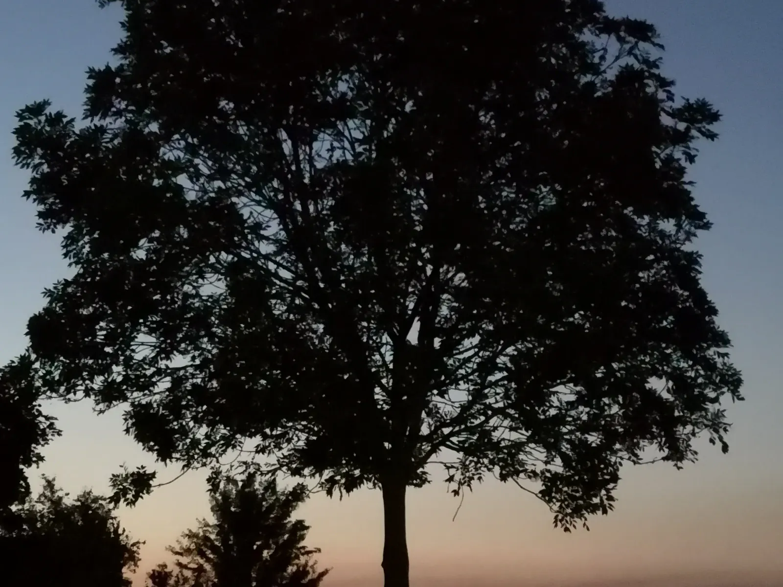 Sonnenuntergang