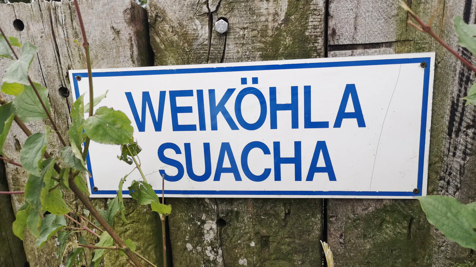 Weiköhla suacha