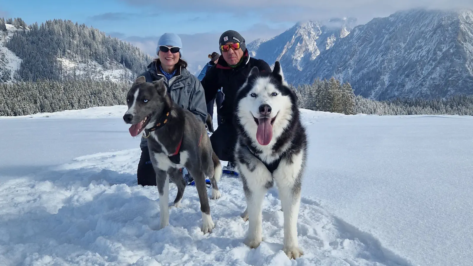 Husky Schneeschuhtrekking