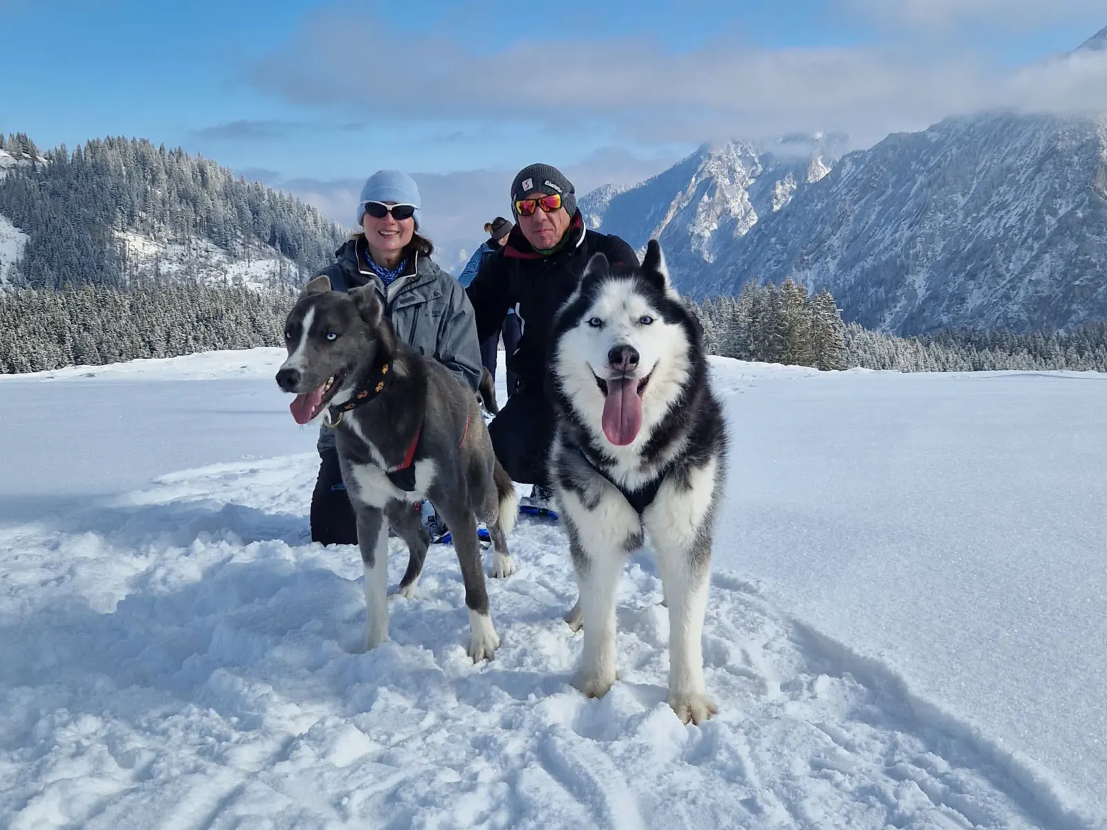 Husky Schneeschuhtrekking