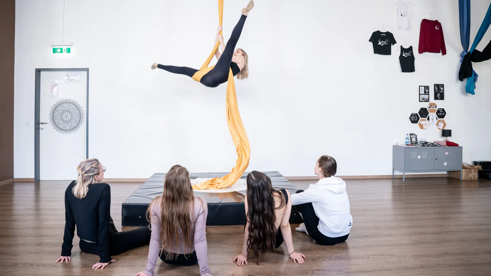 Aerial Silks