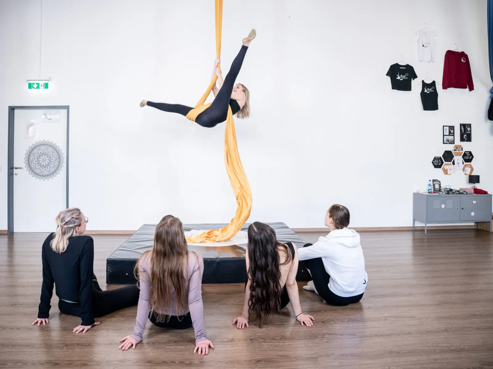 Aerial Silks